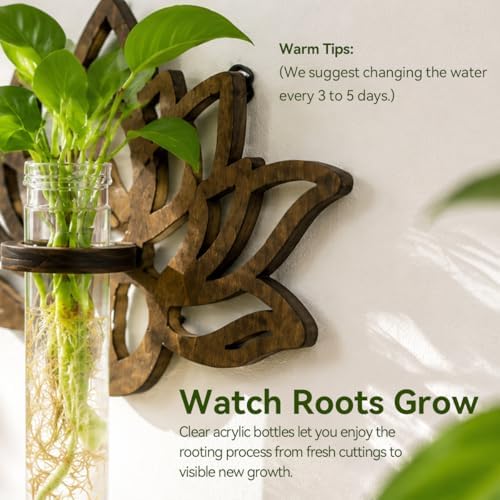 Artilady Plant Propagation Station Wall Hanging, Planter Terrariums Tube - Image 3