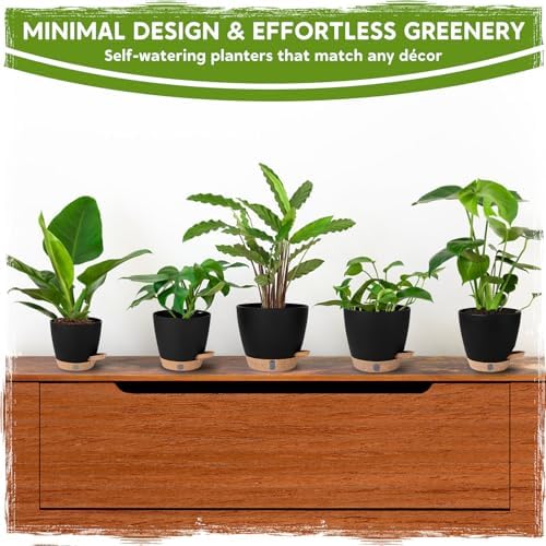 Self Watering Pots for Indoor Plants (5/5.5/6/6.5/8 Inch), Terra Cotta Planters with Water Level Indicator & Drainage,Wicking Pots for Monstera, Herbs & Snake Plant (Black, 5/5.5/6/6.5/8 Inch) - Image 5