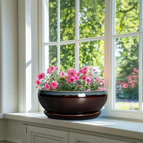 SQOWL Bonsai Planter 12 Inch, Ceramic Large Succulent Pots, Blue-Brown - Image 6