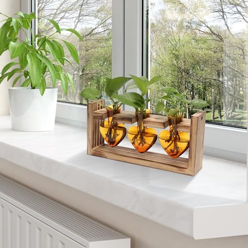 Plant Terrarium Propagation Stations Hydroponics - Image 6