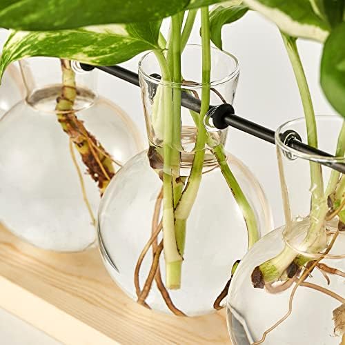 Mkono Plant Propagation Station Wall Desktop Beige Wood Stand 5 Vase Holder - Image 4