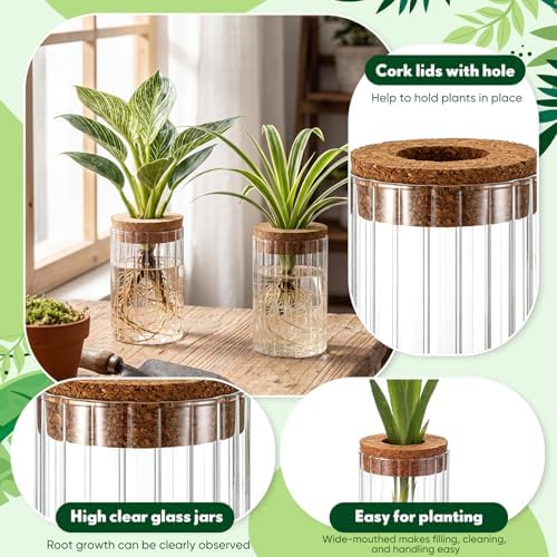 6 Set Propagation Station Jar Desktop Glass Planter Station Flower Vases Water Terrarium Jar with Cork Lid for Propagating Flower Plants Centerpiece Office Home Garden Decor (Small) - Image 3
