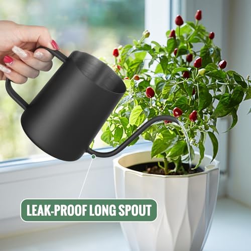 Small Watering Can Indoor Plants 20 OZ Mini Metal Watering Can Leakproof - Image 4
