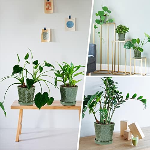 EFISPSS Flower Planter –5 inch Ceramic Plant Pots with Drainage Hole and Ceramic Tray - Gardening Home Desktop Office Windowsill Decoration Gift Set of 4 - Plants NOT Included - Image 4