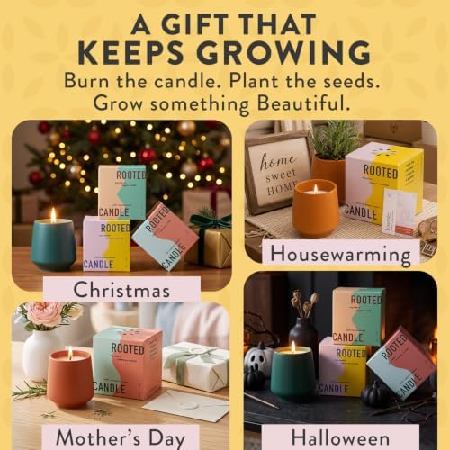 Modern Sprout Soy Candle Planter - Grows Lavender -Cedarwood Scent - 2-Pack - Image 5