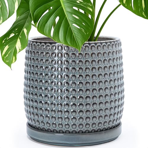 D'vine Dev Beaded Ceramic Pot with Saucer, 10 in, Graphite Blue, 27-C-P-9 by DvineDevPlanterPotsandStand