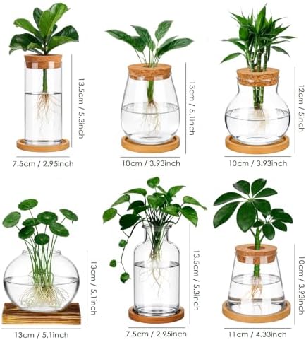 6 Pcs Plant Propagation Station Set, Glass Propagation Vases for Plants with Wooden Lids & Bamboo Stands, Hydroponic Vase Jars for Plant Cuttings, Terrarium Planters for Desk, Home Office Decor - Image 2
