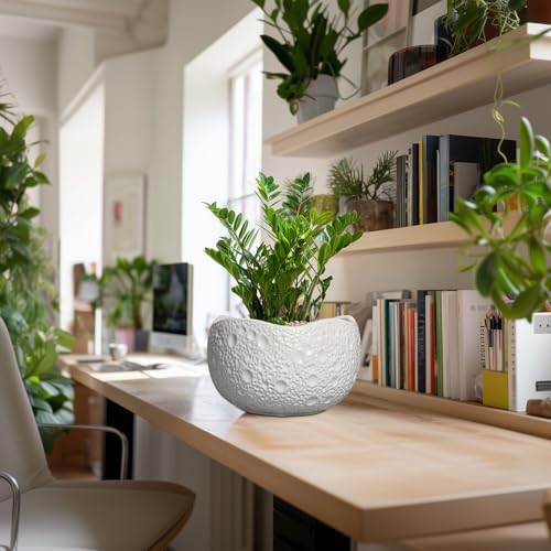 10 Inch Plant Pot - Ceramic Planter for Indoor Outdoor, Round Bonsai Pots, Decorative Flower Pots with Drainage Hole, Modern Unique Planters, House Decor, Home Gifts, White - Image 3