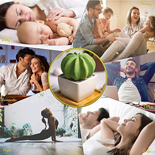 Dotti Cactus, Non-Electric Ceramic Diffusers for Essential Oils and Aromatherapy Fragrance, White Ceramic Diffusers in Car or Desk Office Decor and Small Bathroom at Home, White Vase - Image 5