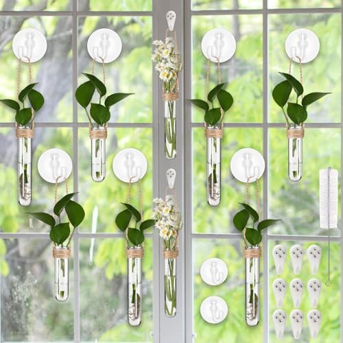 Baderke 9 Pack Clear Window Propagation Stations Plastic Window Planter with Suction Cups & Traceless Nails, Propagated Plant Holders with Bottle Brush, Hanging Vases Terrarium Gift (5.5''& 5"& 3.7'') by Baderke