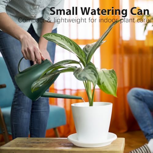 60 oz Watering Can, Small Watering Can for Indoor Plants with Long Spout - Image 3