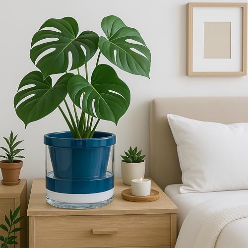 D'vine Dev Self-Watering Blue Terracotta Planter Pot, 8 in, 37-X-C-4 - Image 3