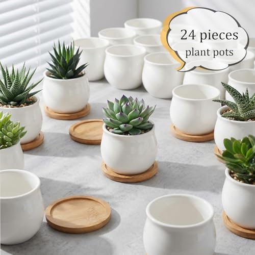 SHECIPIN 24 Pcs 2.5 Inch Small Succulent Pots with Drainage & Bamboo Trays - Assorted Small Succulent Planters Bulk for Home Office Garden Decor - Image 6