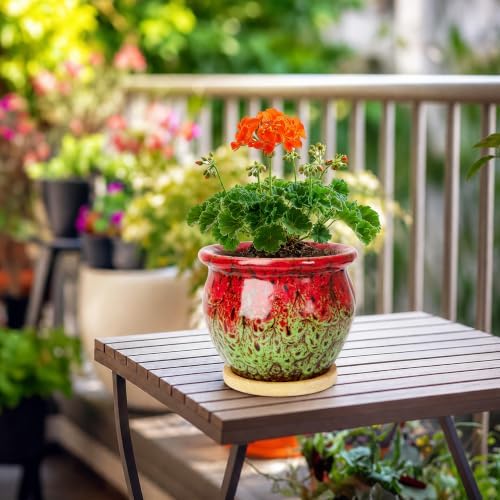 4.5 Inch Plant Pots with Drainage, Small Ceramic Pots for Indoor Plants - Image 6