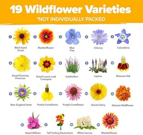 HOME GROWN 19 Wildflower Variety Mix 47,400+ Flower Seeds 3 oz - Image 2