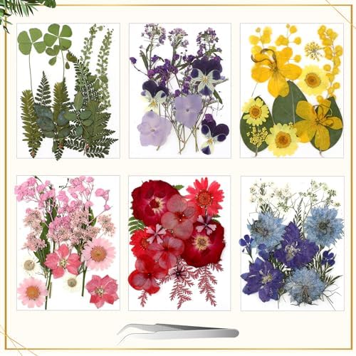 Bucherry 5 Pcs Glass Frame for DIY Pressed Flowers Art Brass Hanging Photo Picture Frame with Chain and 6 Styles Pressed Flowers Collage Glass Craft Frames for Wall Decor Display Gallery (Black) - Image 3