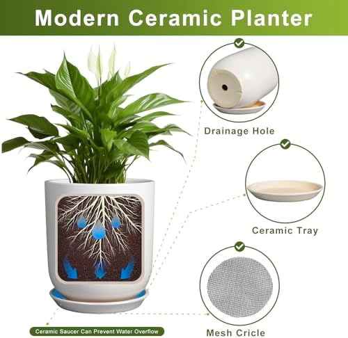 Plant Pot 12 inch - Ceramic Pot for Plants Indoor Outdoor Large Planter Pot with Drainage Hole and Saucer Mid-Century Modern Flower Pot Cylinder White - Image 6