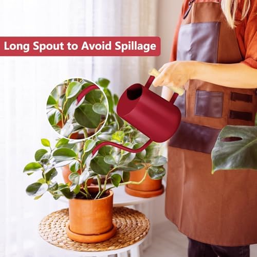 Watering Can Indoor Plants, 35oz Small Stainless Steel Metal Watering Can Modern Decorative Watering Pot with Long Spout for Indoor House Plant Bonsai Garden Flowers (Red) - Image 3