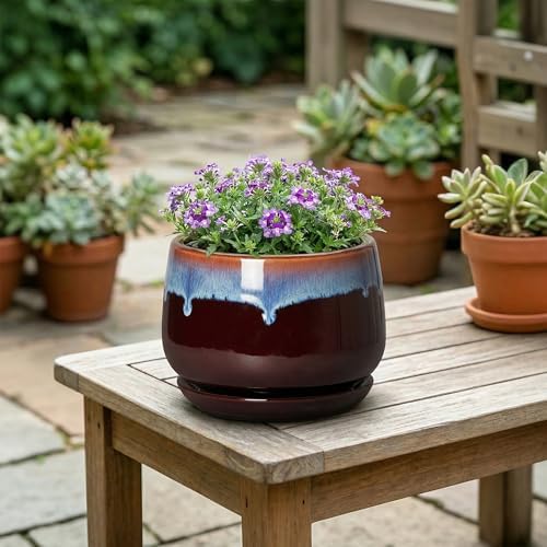 Ceramic Plant Pots - 6 Inch Planter with Drainage Hole and Saucer, Small Succulent Pot for Indoor Plants, Round Decorative Flower Pots, Garden Shelf Decor, Plant Gifts for Women, Brown-Blue - Image 4