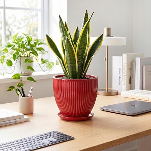 Ceramic Flower Pots 8 Inch, Ceramic Planters for Indoor House Plants, Decorative Plant Pots with Drainage Hole and Saucer, Modern Round Planter, Office Decor, Gifts for Men Women, Red - Image 3