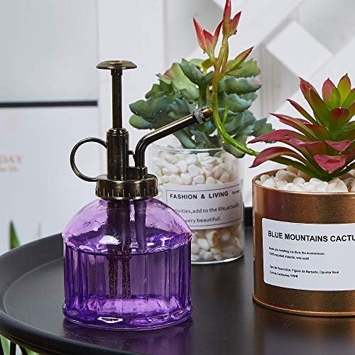 Glass Plant Mister Spray Bottle for Inside Vintage Leak Proof Purple 6.7oz - Image 6