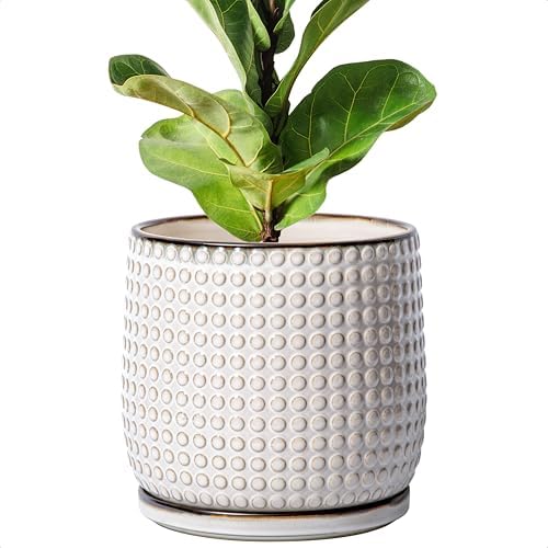 D'vine Dev Beaded Ceramic Pot with Saucer, 8 in, Smoked White, 27-C-Q-1 by DvineDevPlanterPotsandStand