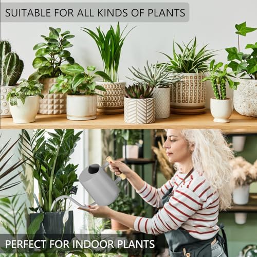 Watering Can Indoor Plants, 35oz Small Indoor Stainless Steel Metal Watering Can Modern Decorative Watering Pot with Long Spout for Indoor House Plant Bonsai Garden Flowers (Gray) - Image 4