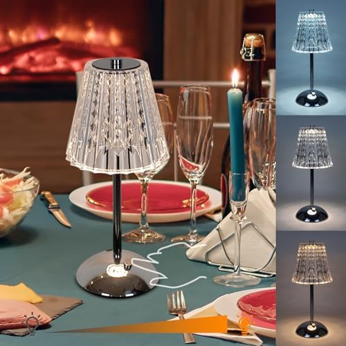 Cordless Rechargeable Metal Table Lamp, Crystal Shade, Silver by Amingulry