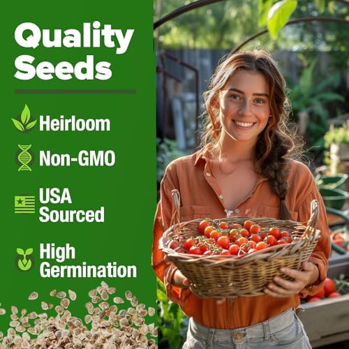 HOME GROWN Large Red Cherry Tomato Seeds, 500+ Seeds, Solanum lycopersicum - Image 3