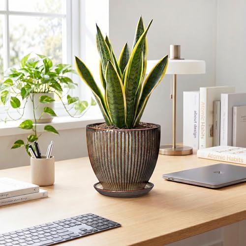 Ceramic Planter, 8 Inch Plant Pots for Indoor Plants, Round Planter with Drainage Hole and Saucer, Modern Decorative Flower Pots, House Office Decor, Gifts for Plant Lovers, Retro Brown - Image 3