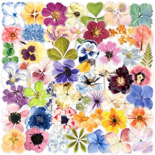 50PCS Transparent Flora Scrapbook Stickers, Flower-E by Unknown