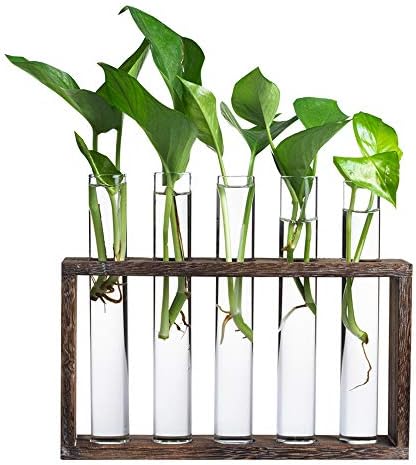 5 Tube Wooden Plant Propagation Station, Tabletop Glass Terrarium Holder for Cuttings Hydroponics, Home Office Desk Decor Gift for Women Mom Plant Lovers, Brown - Image 2