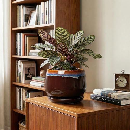 Ceramic Planter, 7 Inch Plant Pots with Drainage, Brown-Blue - Image 5