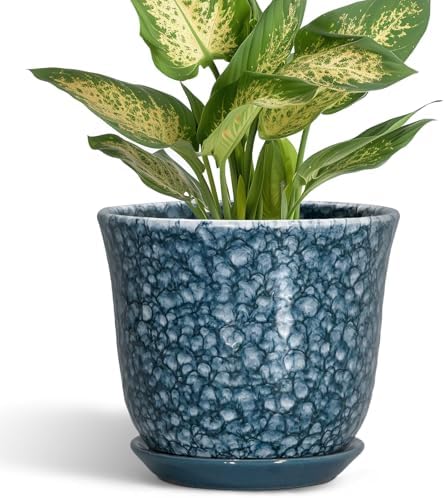 Ceramic Pots for Plants - 5.6 Inch Plant Pot for Indoor Outdoor, Round Succulent Orchid Pot with Drainage Hole and Saucer, Modern Small Flower Pot, Room Home Decor, Plant Lover Gifts, Blue by SUNPOTFOR