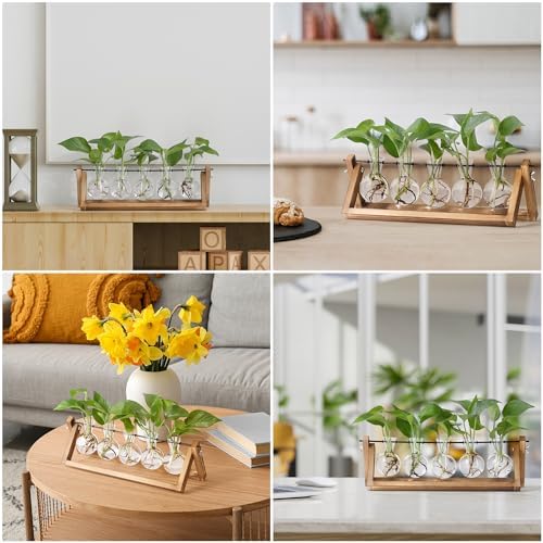 YIBOT Plant Propagation Stations with Wooden Stand & 5 Glass Bulb Vases - Image 7