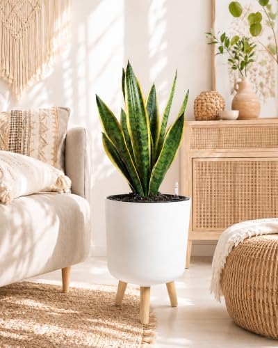 Bamworld Self Watering Pots for Indoor Plants with Water Level Indicator - Image 2
