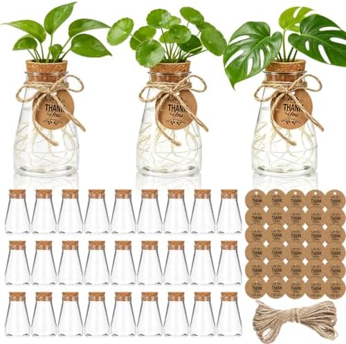 Ysglory 30 Pack Plant Propagation Stations 3.35" Plastic Vases by Ysglory