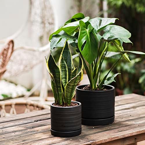 HERDUK 6 + 8 Inch Plant Pots, Ceramic Planter Pot with Drainage Hole & Saucer, Indoor/Outdoor Cylinder Round Planter Pot, Matte Black - Image 2