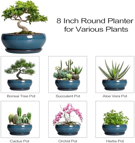 SQOWL Bonsai Pots - 8 Inch Ceramic Succulent Pots with Drainage Hole and Saucer, Round Shallow Planter for Indoor Outdoor Plants Flowers, Ceramic Planter Bowl, Room Decor, Gardening Gifts, Blue - Image 7