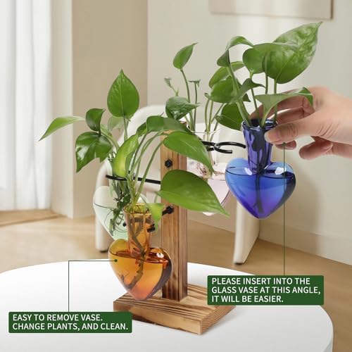 Plant Terrarium Propagation Stations with Wooden Stand - Image 3