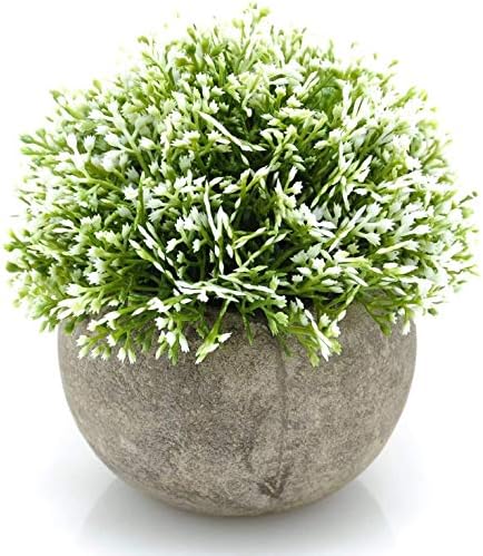 Velener White Mini Artificial Plant Topiary Ball Pot Set- Magnolia Flowers Cottagecore Decor Indoor Plant Shelf Home Office Small Desk Decorations Green Room Accessories Bathroom Kitchen Counter Aloe by Velener