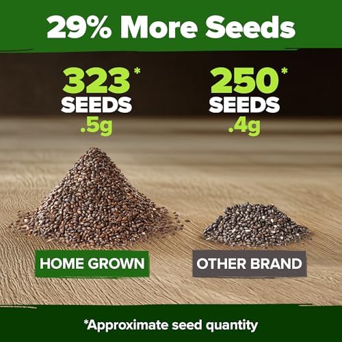 HOME GROWN White Sage Seeds, 323 Seeds, Salvia apiana - Image 3