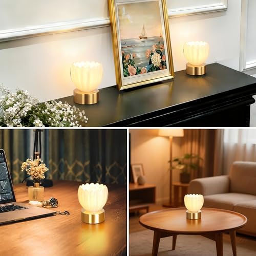 Shenmoyl Cordless Small Table Lamp with 5200mAh Battery & Touch Control, Battery Operated Tulip Table Lamp with 3 Colors, Rechargeable Mini Table Lamps for Bedsides, Bedroom, Nightstand (White) - Image 5