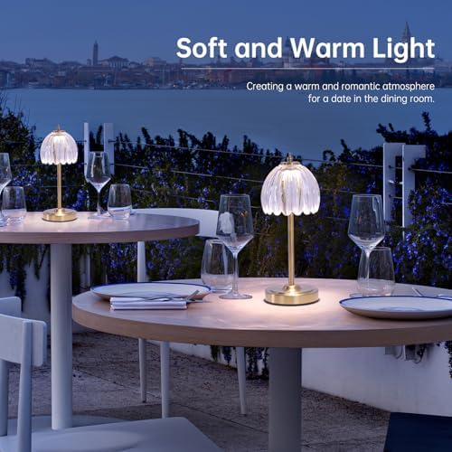 Shenmoyl Set of 2 Tulip Table Lamp with 5000mAh Battery & Touch Control, Cordless Table Lamp with 3 Colors, Dimmable Rechargeable Table Lamps for Bedroom, Living Room, Entryways (Transparent Tulip) - Image 5
