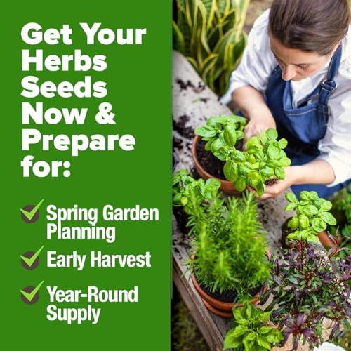 HOME GROWN 30 Herb Variety Pack 10,900+ Seeds Extra Large Culinary Kit - Image 6