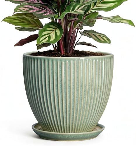 Ceramic Plant Pots, 6 Inch Ceramic Pots for Herb Snake Plants, Indoor Small Flower Pot with Drainage Hole and Saucer, Modern Round Planter, Room Office House Decor, Gardening Gifts, Green by Unknown