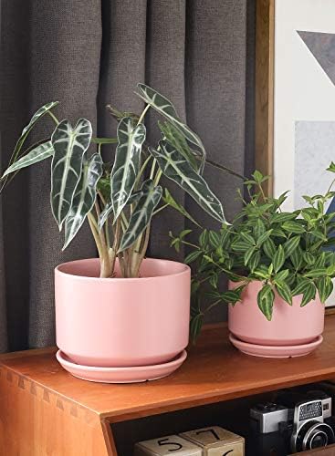 LE TAUCI Ceramic Plant Pots, 4.3+5.3+6.8 inch, Set of 3, Planters with Drainage Hole and Saucer, Indoor Flower Pot with Hole Mesh Pad, Gifts for Mom, Pink - Image 2