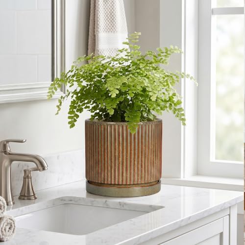 Ceramic Plant Pots, 8 Inch Planter, Round Plant Pot, Retro Brown - Image 7