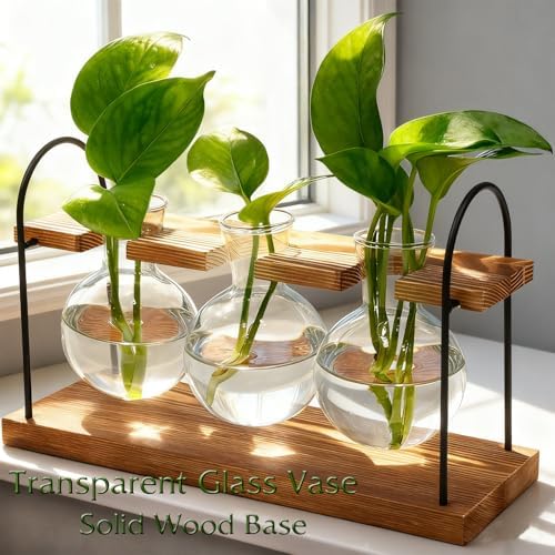 Plant Terrarium with Wooden Stand, Birthday Gift for Women Mom Plant Lover - Image 3