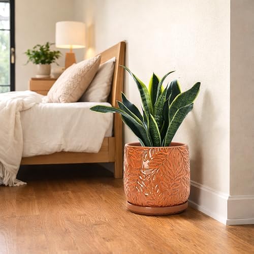 D'vine Dev Embossed Leaves Ceramic Planter, 8 in, Pumpkin, 27-A-Q-J - Image 5